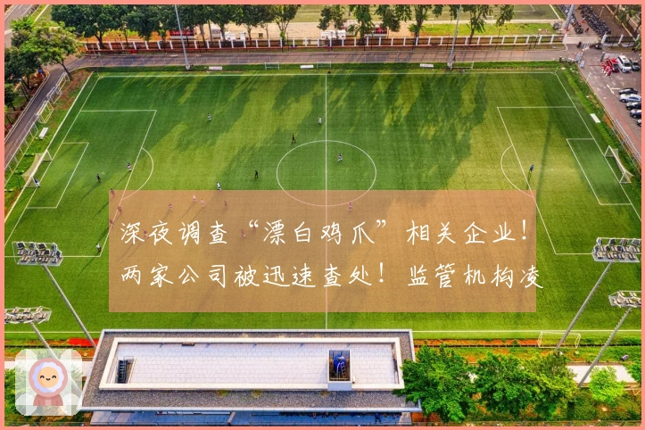 深夜调查“漂白鸡爪”相关企业！两家公司被迅速查处！监管机构凌晨3点持续行动