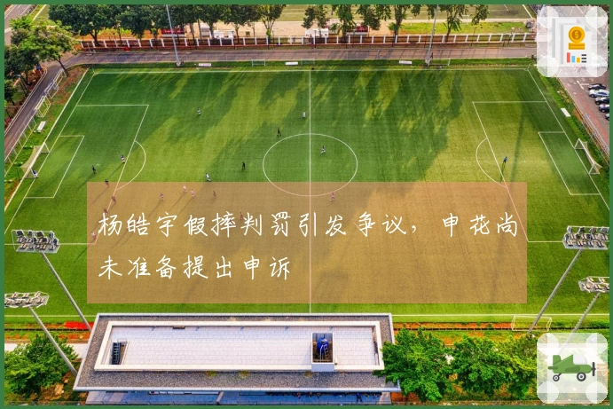 杨皓宇假摔判罚引发争议，申花尚未准备提出申诉